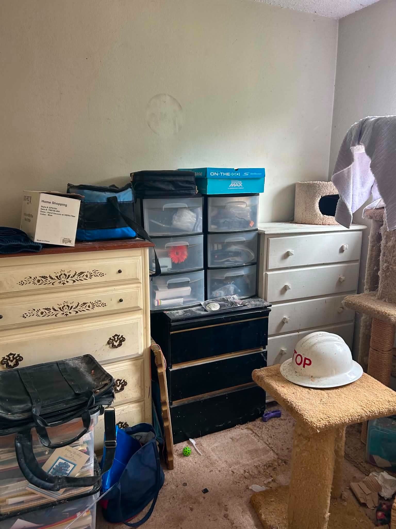 Junk removal project 8 — Bay Area Labor Services