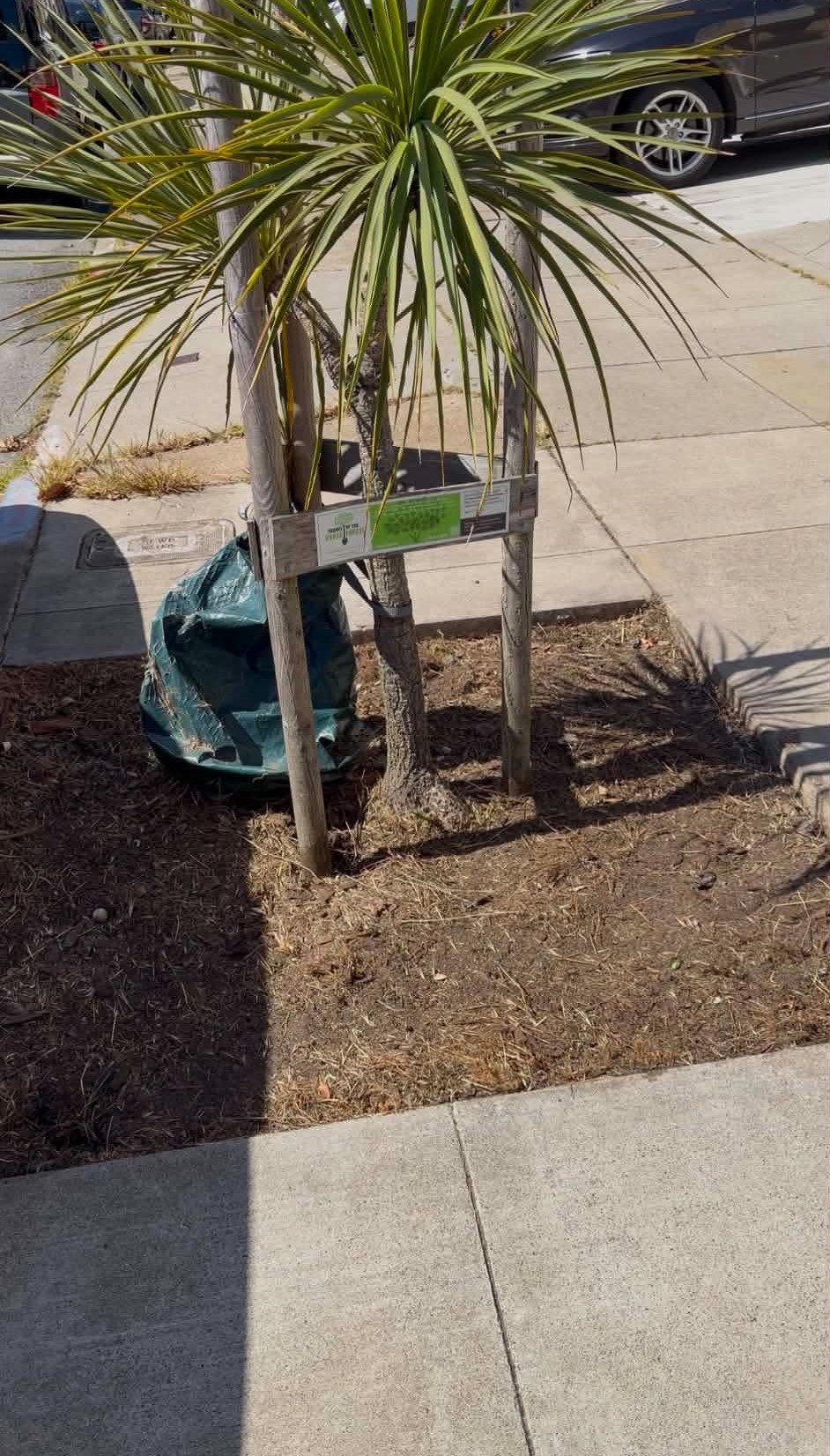 Yard cleanup project 2 — Bay Area Labor Services