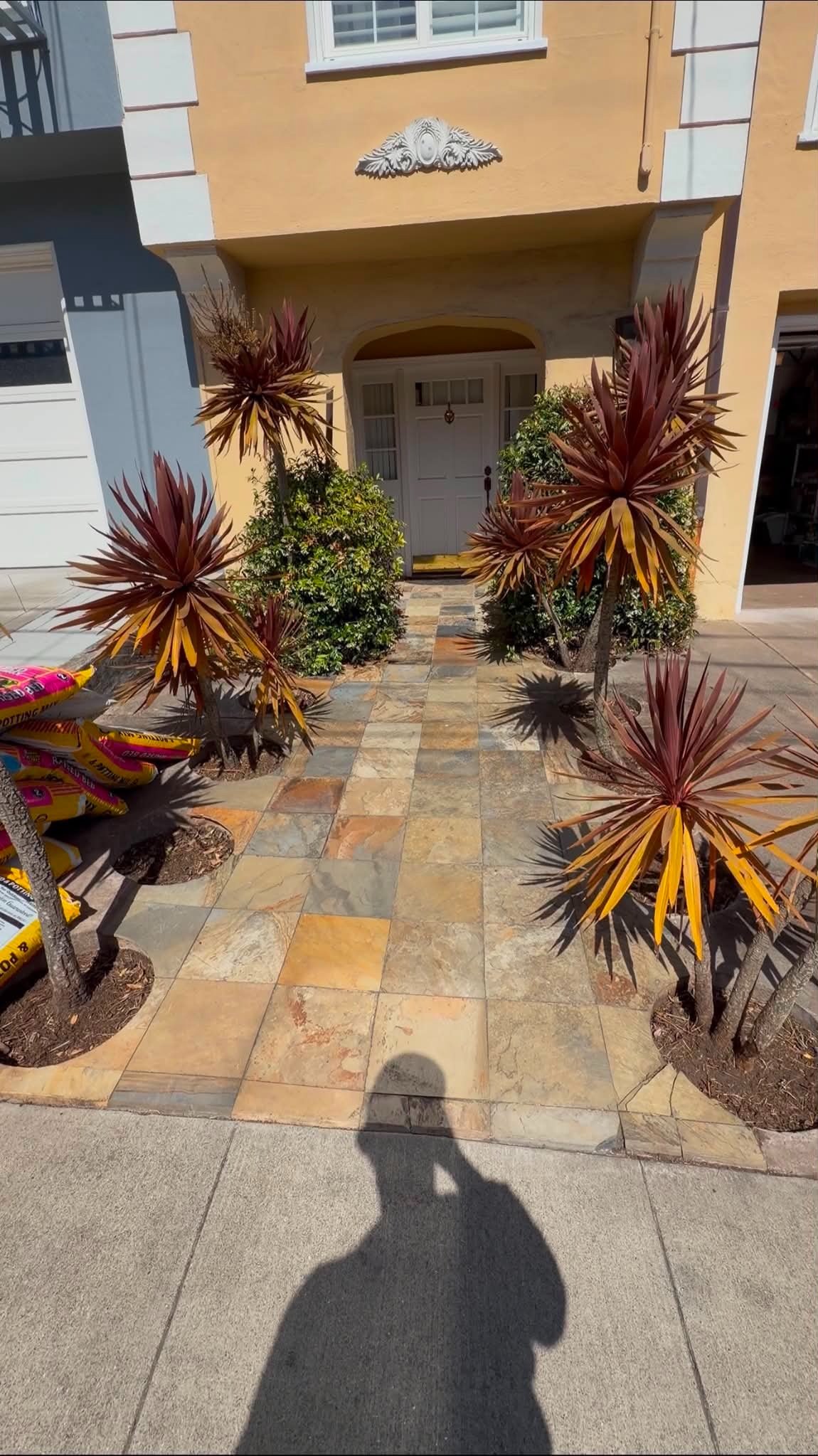 Yard cleanup project 4 — Bay Area Labor Services