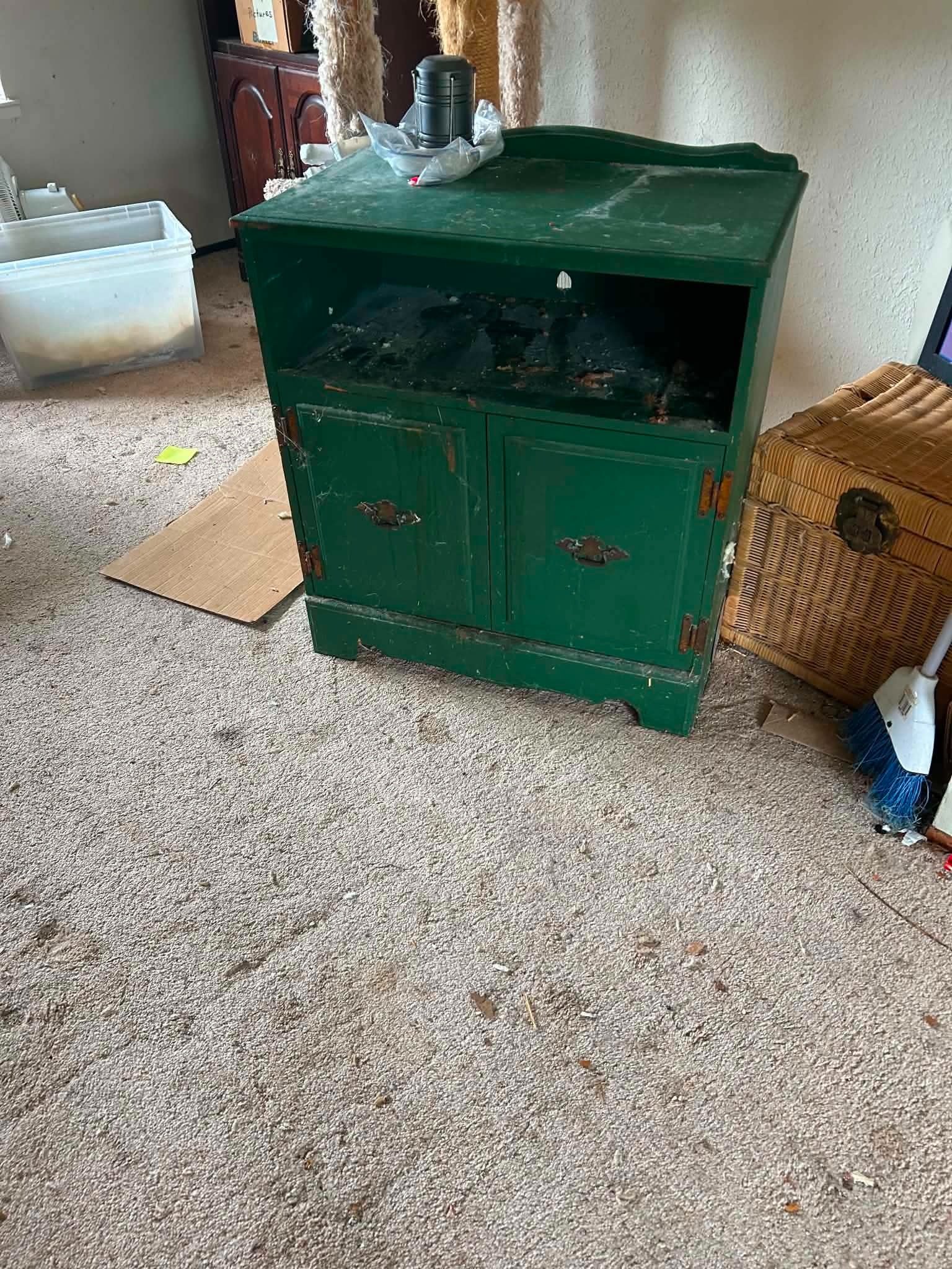 Yard cleanup project 5 — Bay Area Labor Services