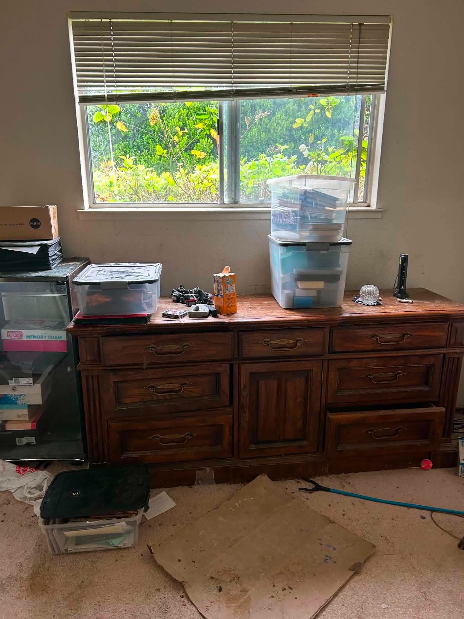 Yard cleanup project 6 — Bay Area Labor Services